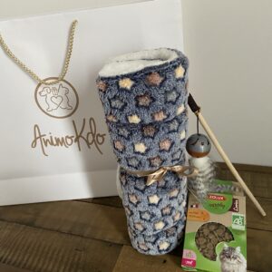 Coffret cadeau accessoires design et friandises pour chat