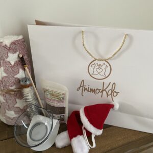 Coffret cadeau de noël avec accessoires pour chat