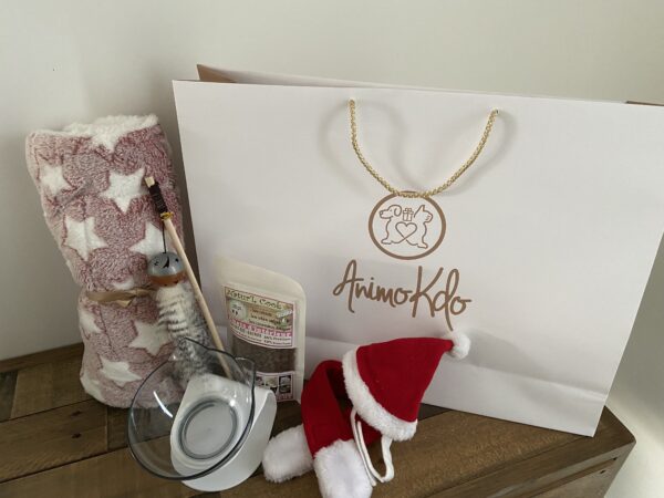 Coffret cadeau de noël avec accessoires pour chat