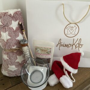 Coffret cadeau de noël avec accessoires pour chat