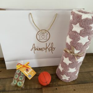 Coffret cadeau pas cher avec accessoires et friandises chien 01