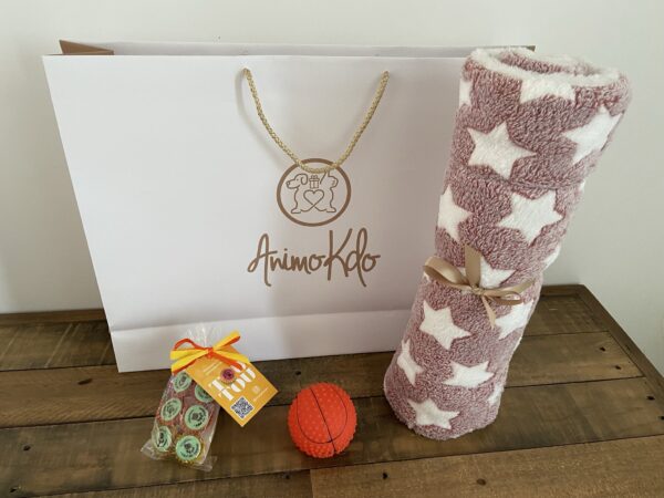 Coffret cadeau pas cher avec accessoires et friandises chien 01