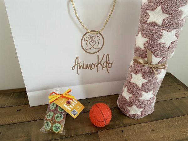 Coffret cadeau pas cher avec accessoires et friandises chien 02