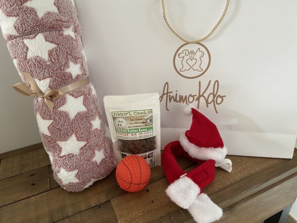 Panier cadeau noël petit chien 02