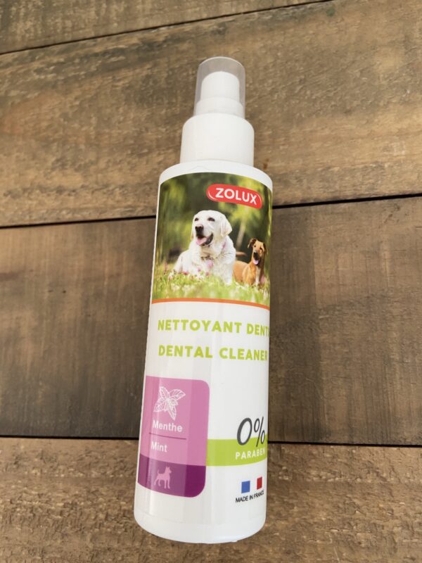 Nettoyant dents à la menthe 01