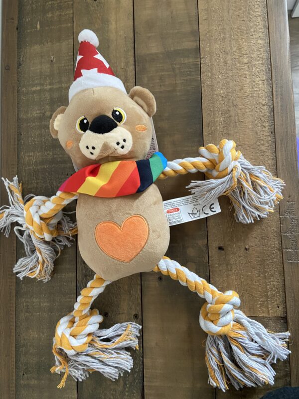 Jouet peluche ours adorable pour chien 02