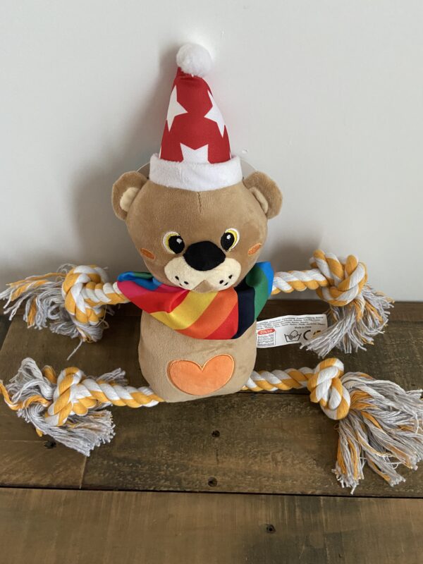 Jouet peluche ours adorable pour chien 04